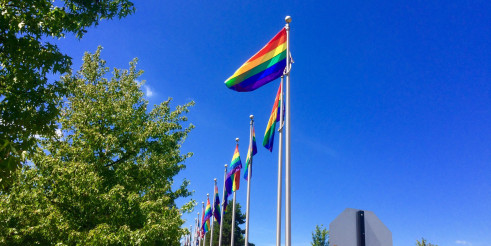 pride flags